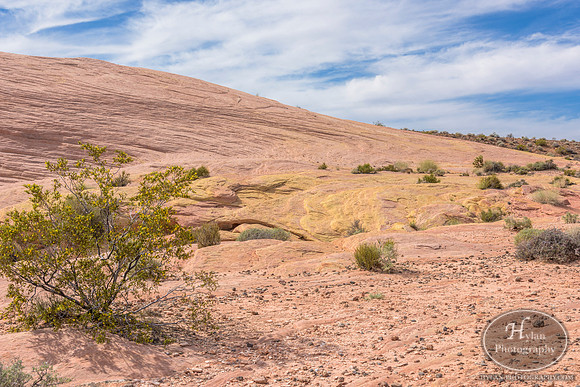 Valley-Of-Fire-59.jpg