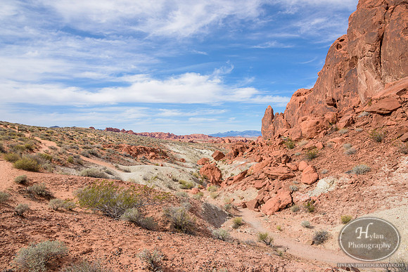 Valley-Of-Fire-66.jpg