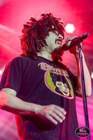 Counting Crows