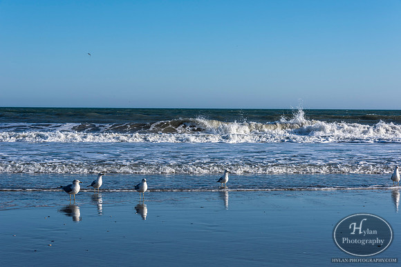 Myrtle Beach