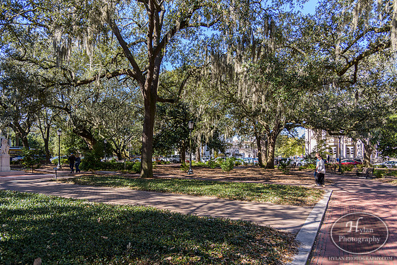 Savannah Day 3