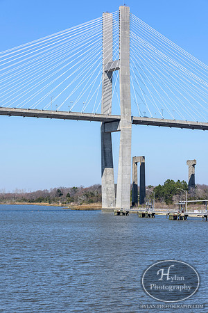 Savannah