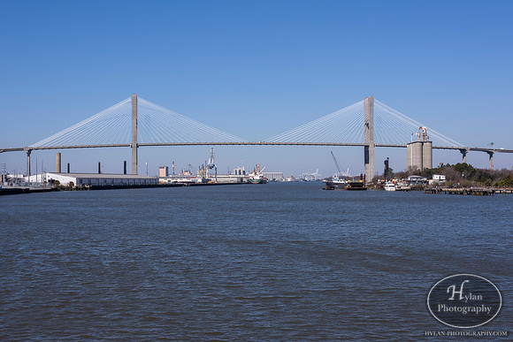 Savannah
