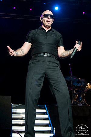 Pitbull