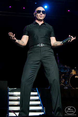 Pitbull