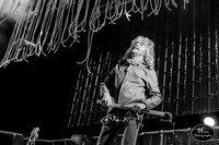 The Flaming Lips