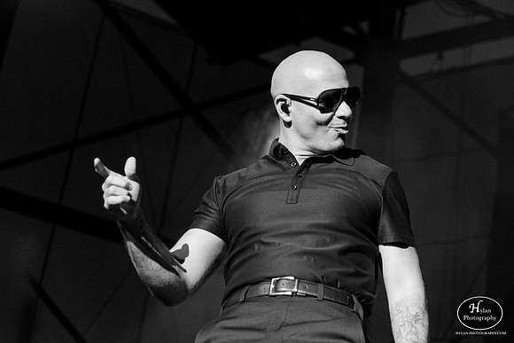Pitbull