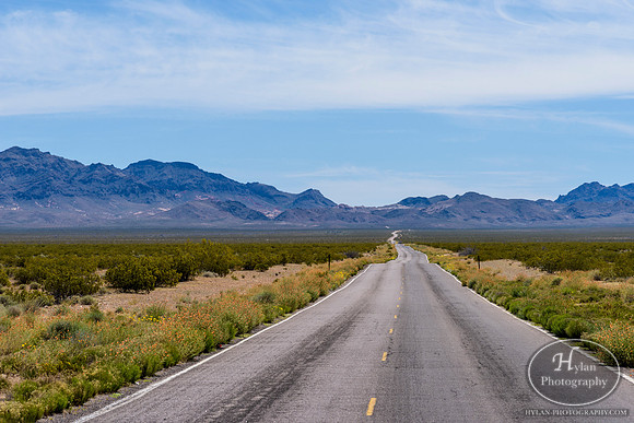 Valley-Of-Fire-3.jpg
