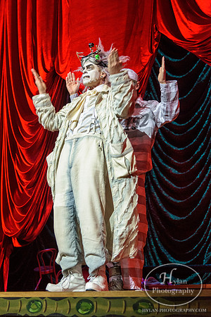 Zarkana-11.jpg