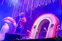 The Flaming Lips