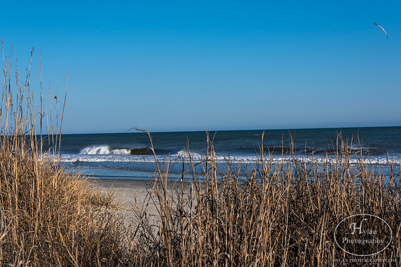 Myrtle Beach