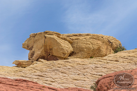 Red-Rock-Hylan-40.jpg