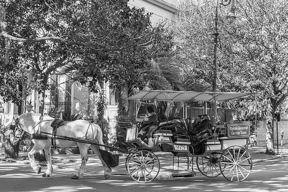 Savannah