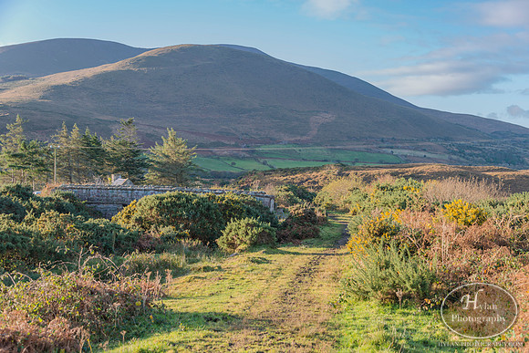 Hylan-Ireland-Killarney-16.jpg