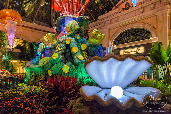 LasVegas-HylanPhotography-September2015-231048.jpg