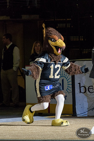 LVSteelhawks_vx_PhilYellowJackets-HylanPhotography-PPLCenter-185222.jpg