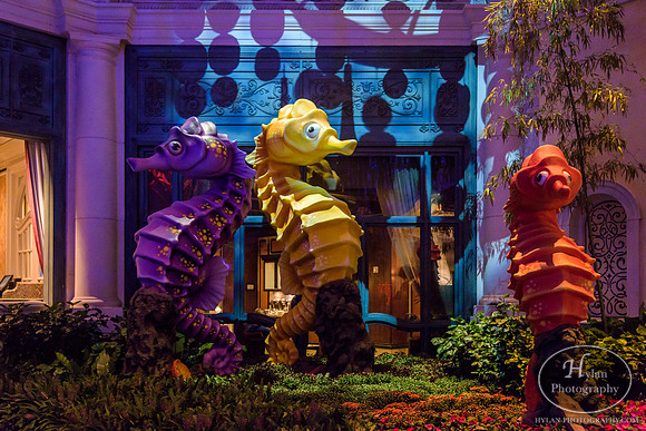 LasVegas-HylanPhotography-September2015-231756.jpg