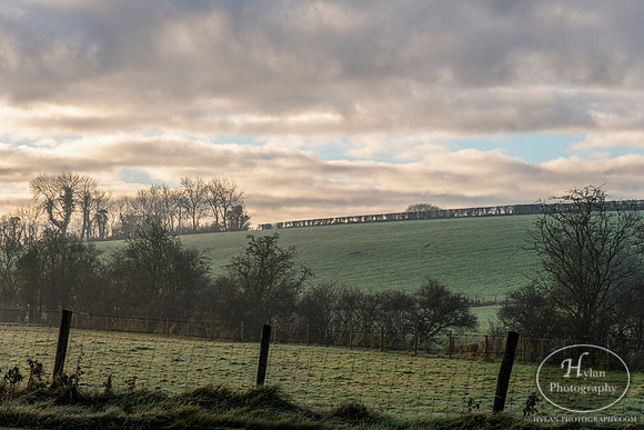 Hylan-Northern-Ireland-1.jpg