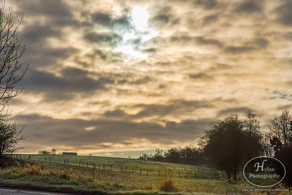 Hylan-Northern-Ireland-6.jpg