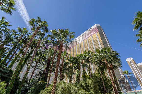 Las-Vegas-19.jpg