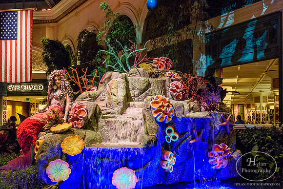 LasVegas-HylanPhotography-September2015-230814.jpg