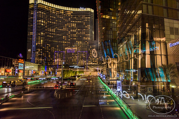 LasVegas-HylanPhotography-September2015-000530.jpg