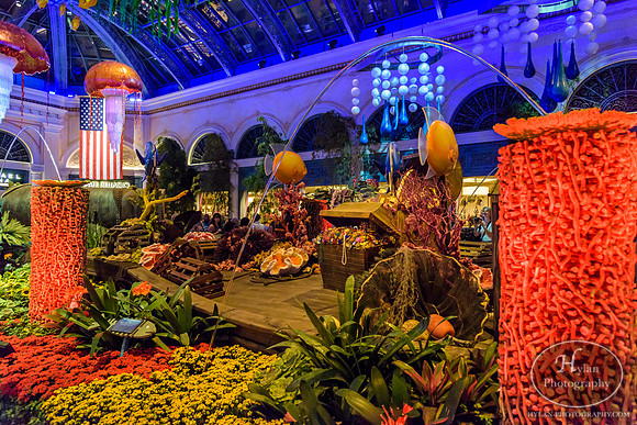 LasVegas-HylanPhotography-September2015-231652.jpg