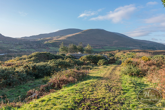 Hylan-Ireland-Killarney-17.jpg