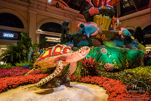 LasVegas-HylanPhotography-September2015-231346.jpg
