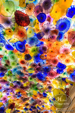 LasVegas-HylanPhotography-September2015-232436.jpg