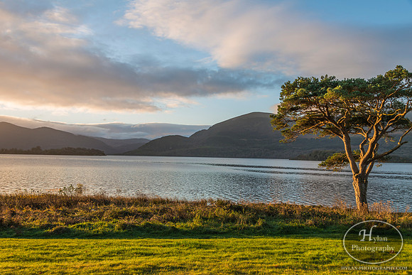 Hylan-Ireland-Killarney-2.jpg