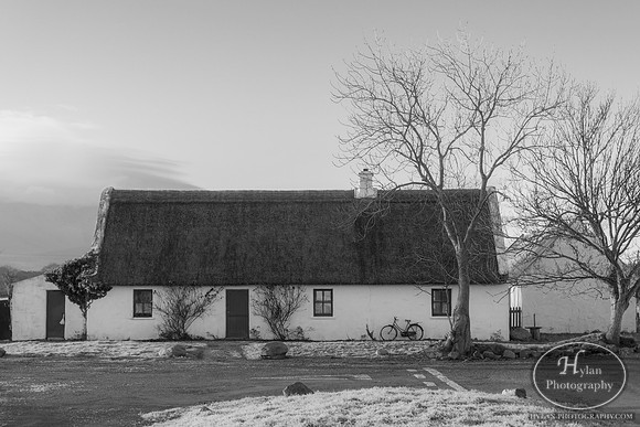 Hylan-Ireland-Killarney-12.jpg