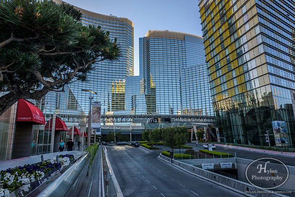 Las-Vegas-6.jpg