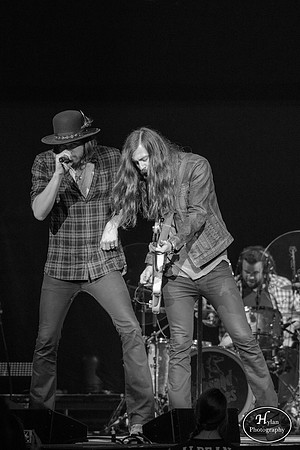 AThousandHorses-HylanPhotography-PPLCenter-CatCountry-193158.jpg