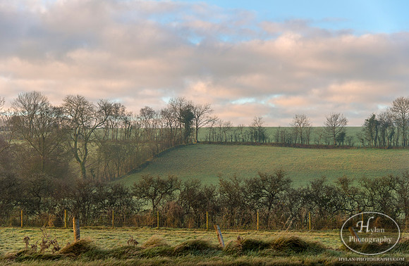 Hylan-Northern-Ireland-2.jpg