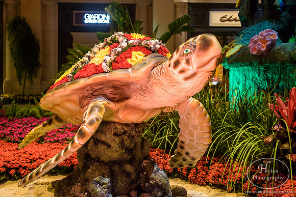 LasVegas-HylanPhotography-September2015-231328.jpg