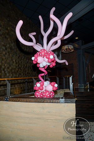 WLEV's Little Pink Dress Party - 2015
