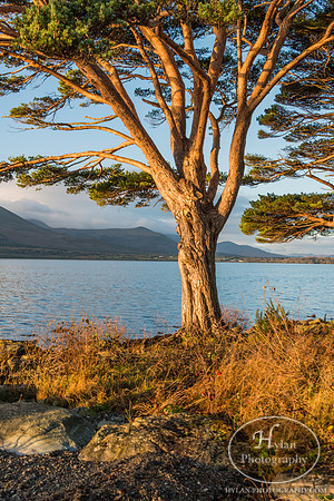 Hylan-Ireland-Killarney-11.jpg