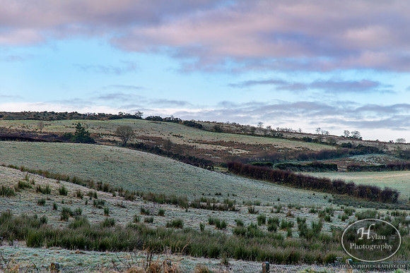 Hylan-Northern-Ireland-3.jpg