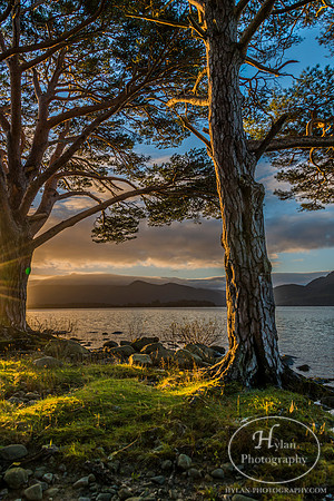 Hylan-Ireland-Killarney-4.jpg