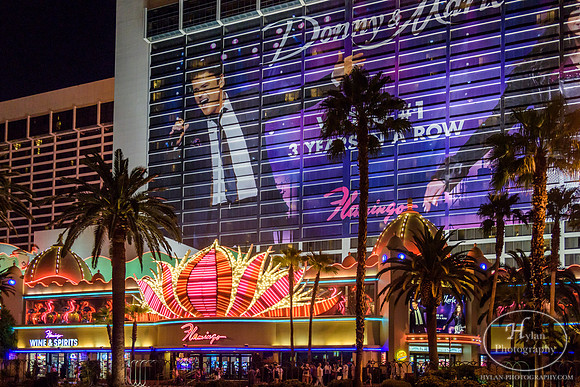 LasVegas-HylanPhotography-September2015-225114.jpg