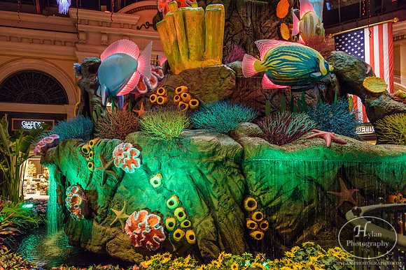 LasVegas-HylanPhotography-September2015-231430.jpg