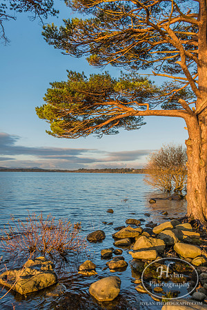 Hylan-Ireland-Killarney-8.jpg