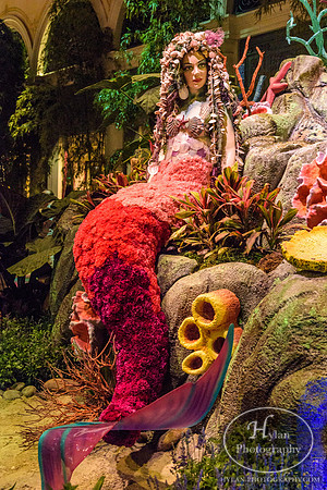 LasVegas-HylanPhotography-September2015-230856.jpg