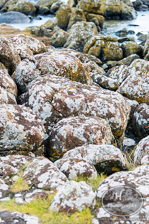 Hylan-Giants-Causeway-Northern-Ireland-15.jpg