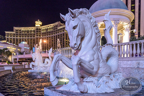 LasVegas-HylanPhotography-September2015-225824.jpg