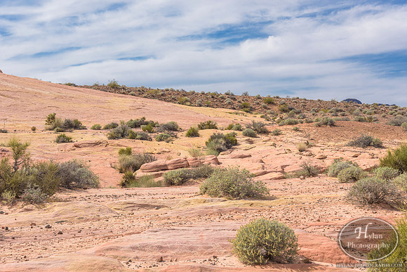 Valley-Of-Fire-60.jpg