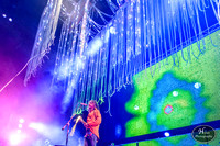 The Flaming Lips