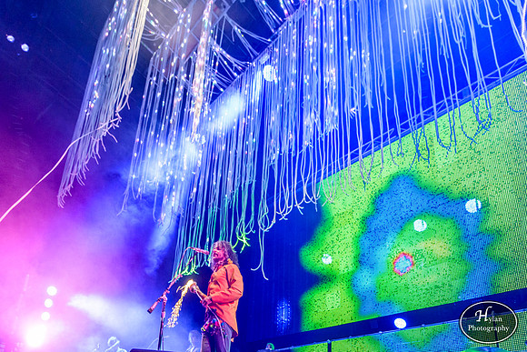 The Flaming Lips