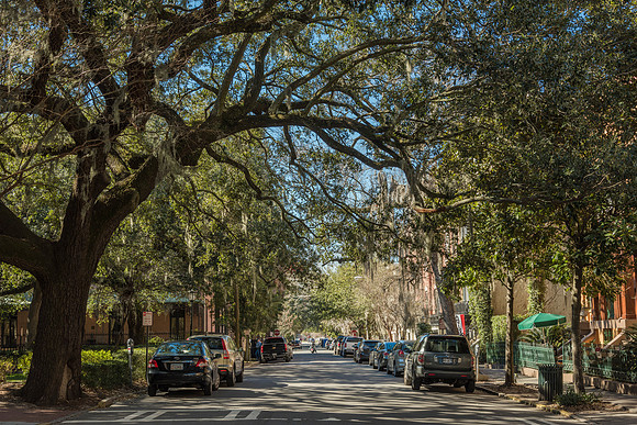 Savannah